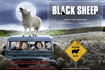 Black Sheep Site